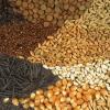 Foto de Semillas y cereales gabys
